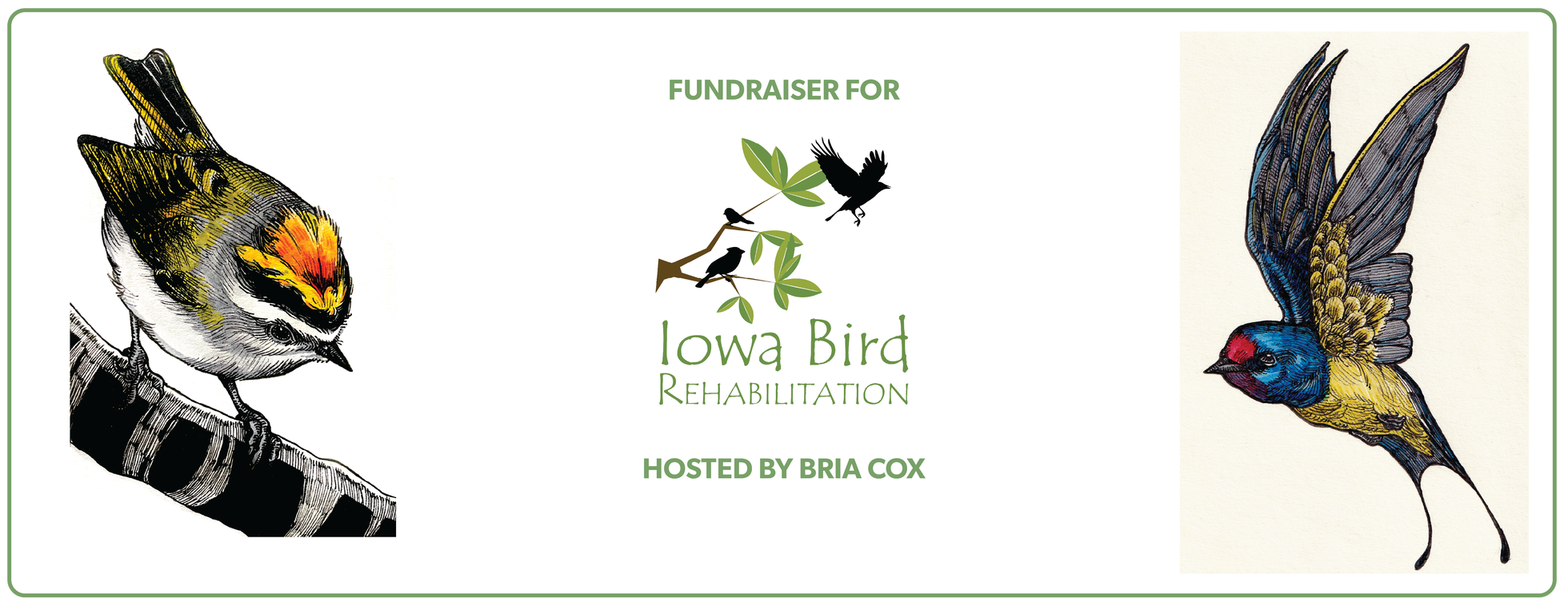 Bird Art by Bria Cox